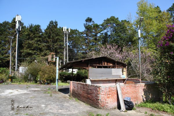 苗栗南庄-向天湖山步道1313952