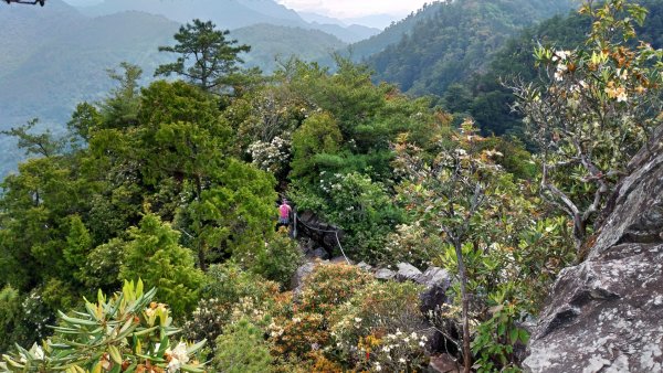 鳶嘴山 2019/05/05580970