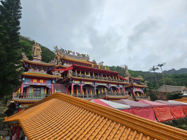 20250201貢大縱走(大石壁坑山主北峰-五酒桶山-龍崗山-吾居吾墅步道)2703727