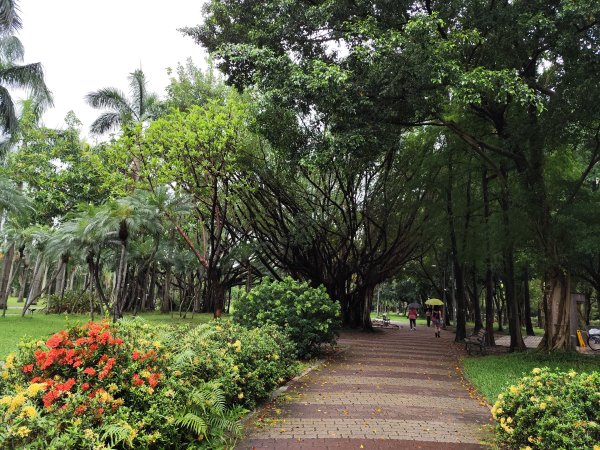 大安森林公園、西門町、象山公園【2025臺北健走趣】2834208