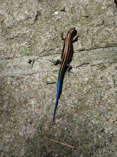 南港山及九五峰676190