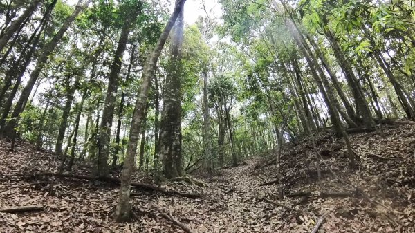 20250421_阿白縱走2774483