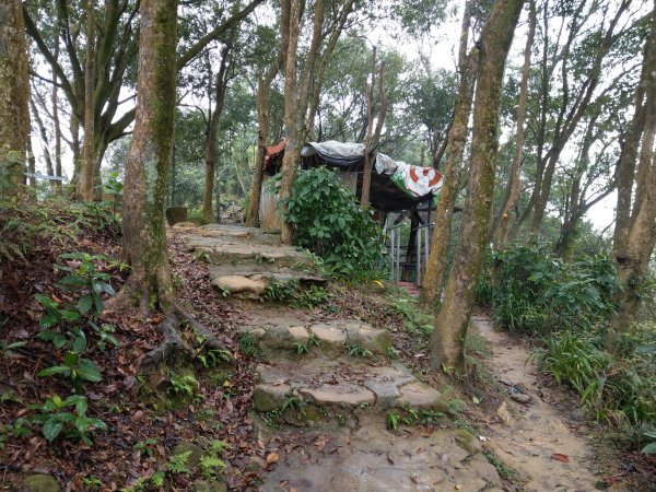 土城五秀縱走(火焰山+土城四秀)830588