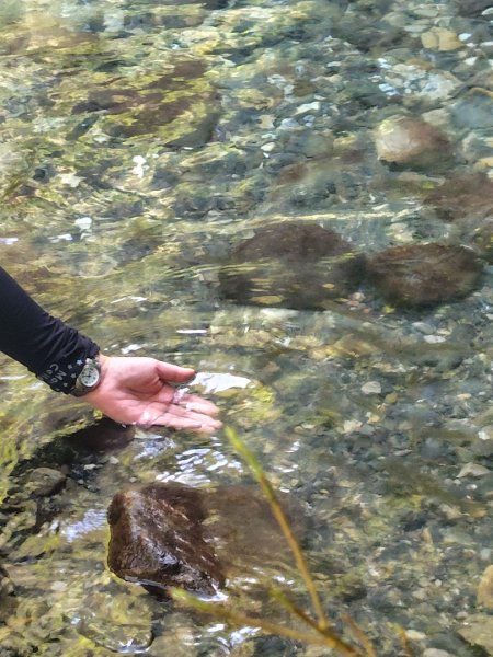 唐麻丹山 蝴蝶谷2918986