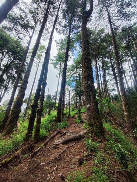 南湖群峰五天四夜2871888