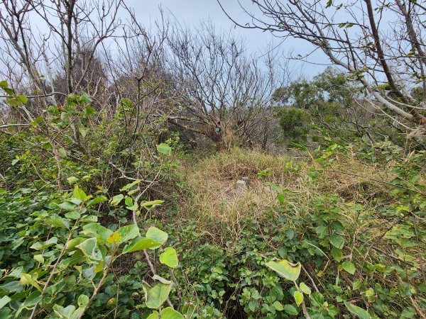 20250101海口山、糠榔埔山、闖水窩山及大牛朝山2726194
