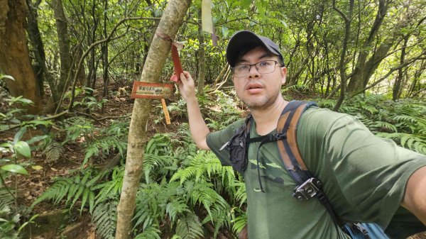 20250625遠望坑口-遠望坑崙-176峰-陸軍路礦864-遠望坑山O型2826168