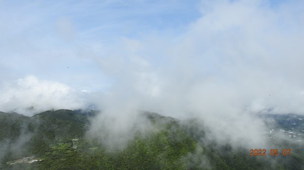 雲山水花鳥蝶 - 天龍國阿伯的日常5/71704504