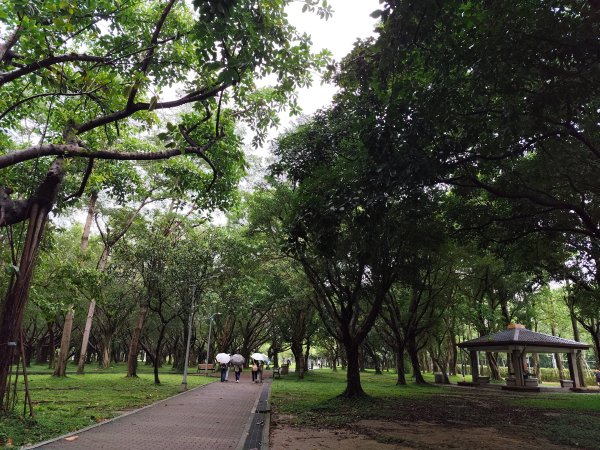 大安森林公園、西門町、象山公園【2025臺北健走趣】2834210