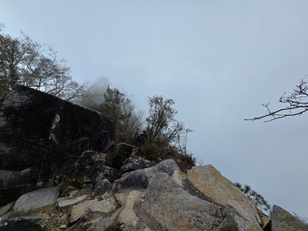 東卯山／東卯山西峰+賞山櫻花2716004