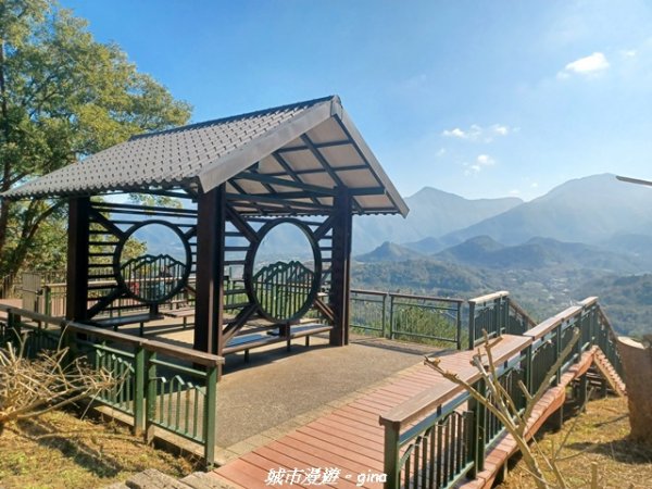 【南投魚池】郊山好視野。 金龍山(槌仔寮山)步道2976300