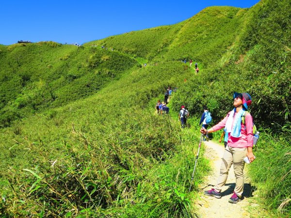 走聖母與三角崙山步道 再探神級抹茶山698499