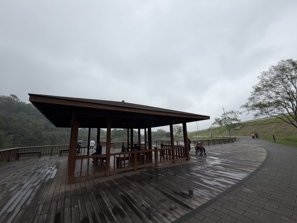 [樟之細路_第一大段RSA01] 2026_0329 三坑自然生態公園3026796
