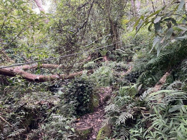 暗影山_2025/05/042782328