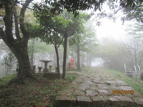 汐止大尖山908484