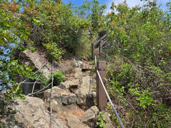 龍麟山步道2748688