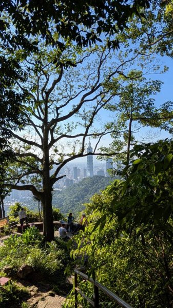 南港山步道3122064