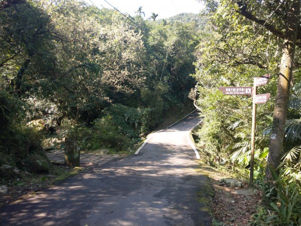 草嶺古道＆灣坑頭山(小百岳#82) 2021/2/61422623