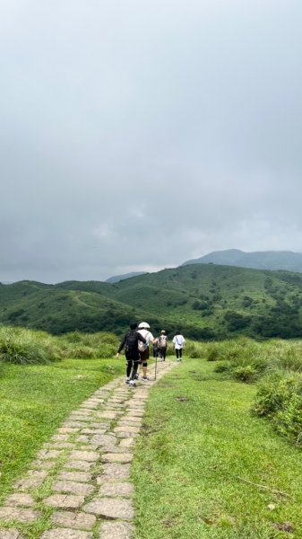 230701 擎天崗環形步道 🐂2201275