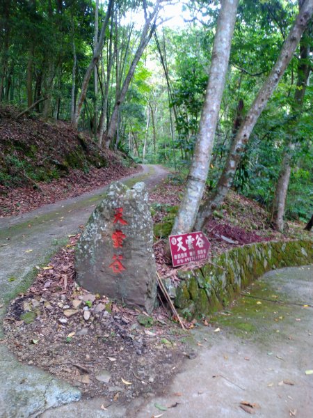 豐山天雲谷1197840