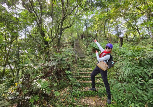 坪林三星(鬼子瀨尖.源茂山.和尚髻山)全紀錄2498639