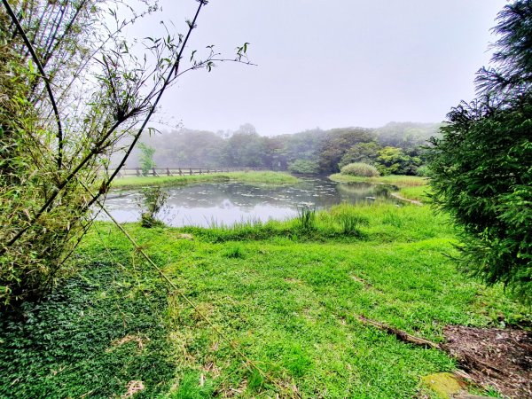 頂山，石梯嶺，竹篙山，雞心崙，五指山，梅花山，香對山，雙溪溝古道，風櫃嘴步道，土城明德山1664731