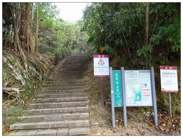 日月潭/慈恩塔步道754955