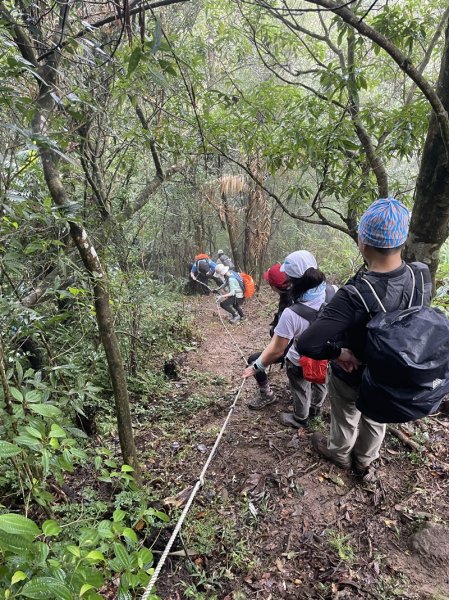 南北豹子廚山2925451