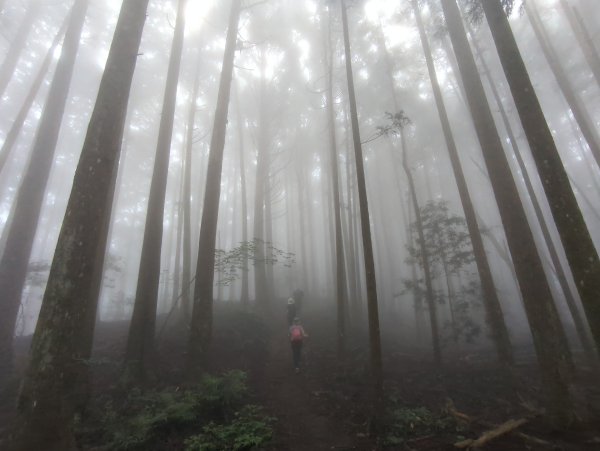 2025.07.05－高島縱走