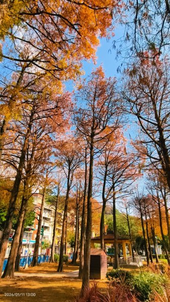 #花卉試驗中心 #永公路500巷 #平菁街42巷 #原住民公園 #士林官邸 1/42980340