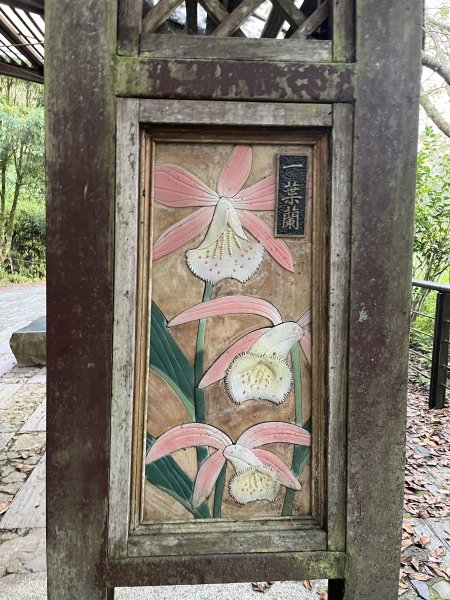 [嘉遊好步道．來嘉走走-04/10] 2024_1011 阿里山頂湖步道2624733