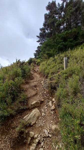 合歡西峰單攻1216894
