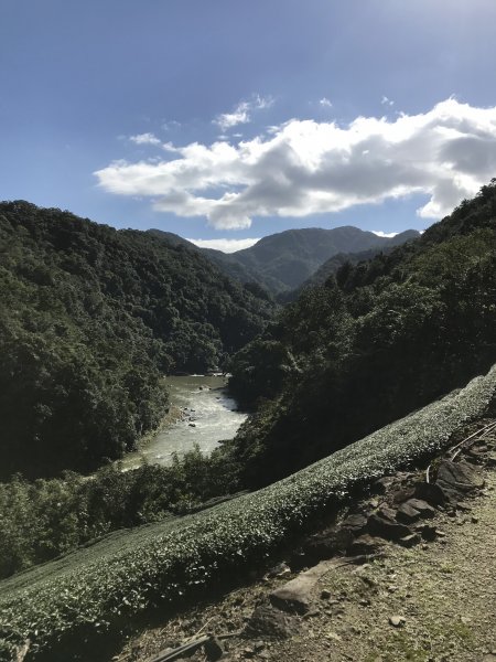 2021.12.11 大舌湖山O型( 漁光國小 漁光派出所 大舌湖步道 粗石斛吊橋)1550777