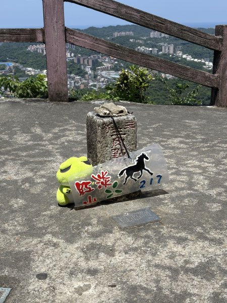 紅淡山3043547