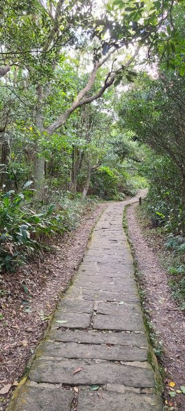 20211219 小百岳-台北大崙頭、尾山