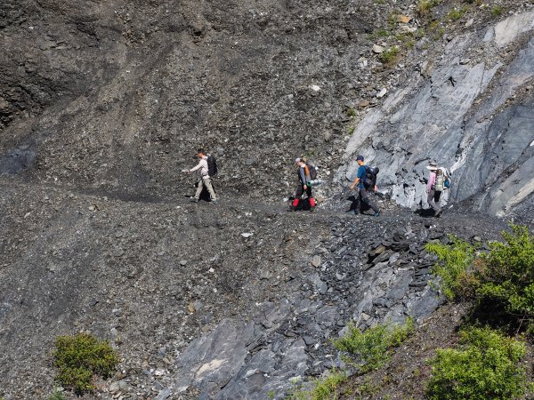 [百岳]能高越嶺逆走與奇萊南峰1042890