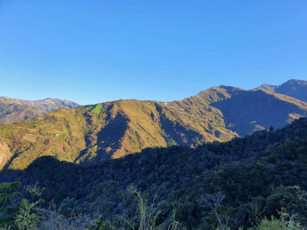 盧山六寶-再生山1616323