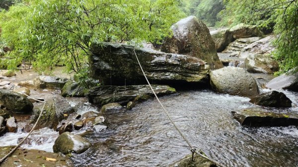 20230730 苗栗加里山午後雷陣雨篇（中級山小百岳）2235185