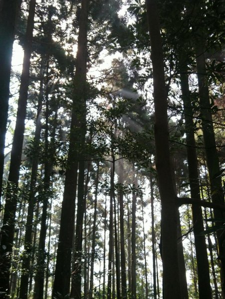 馬武督山，蓮包山，鴛鴦谷瀑布連走671676