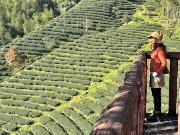 溪頭六連峰O繞2741778