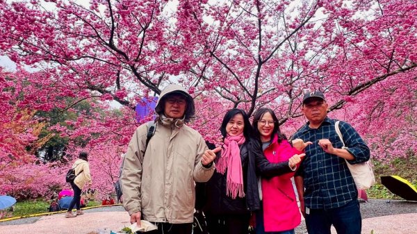 🌈3/1（日）福壽山農場~千櫻園✨FB：熊熊趴爬走🌈3008552