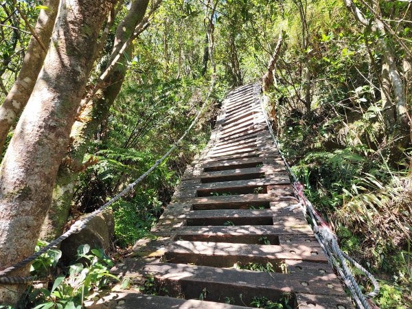 小百岳No.20⛰獅仔頭山2917932