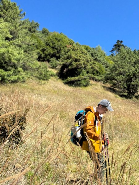 一日單攻桃山2903270