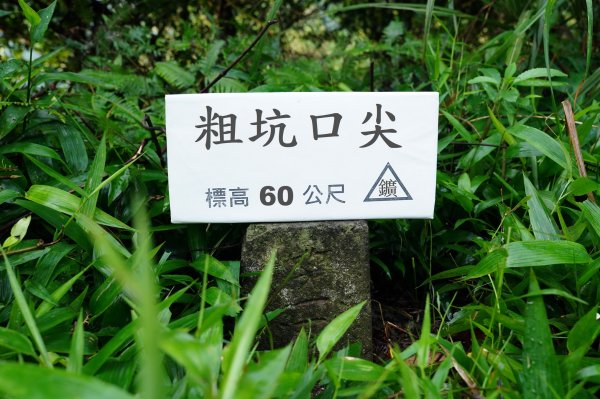 新北 瑞芳 粗坑口尖、碇內尖山、粗坑頭山、龍門山、滴水山2838270