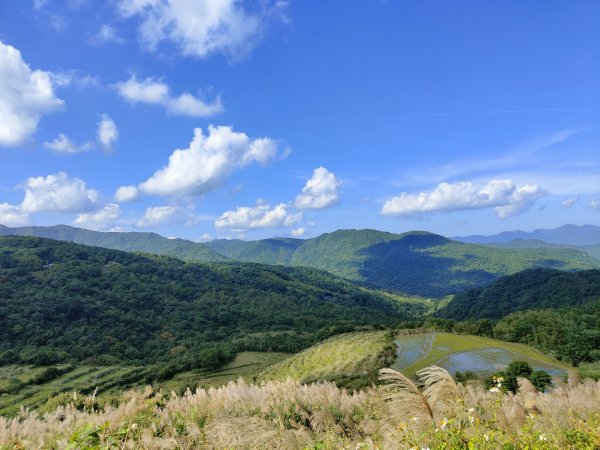 2023.11.23 桃源谷內寮線登灣坑頭山2503567