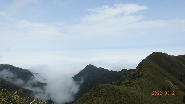 陽明山趴趴走，整天差強人意雲海1650825
