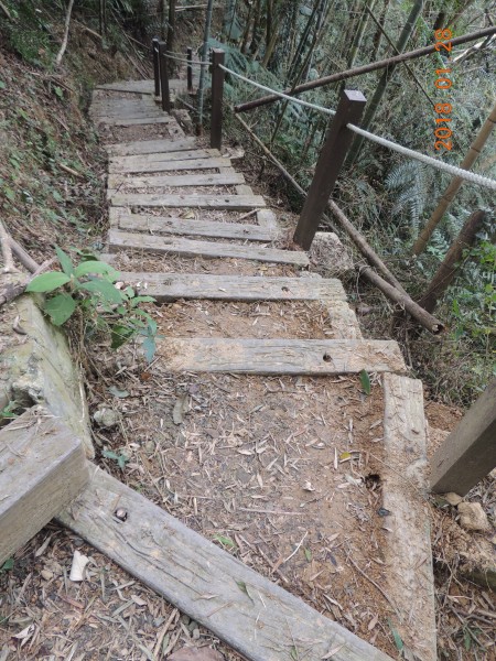 後尖山步道登後尖山256876