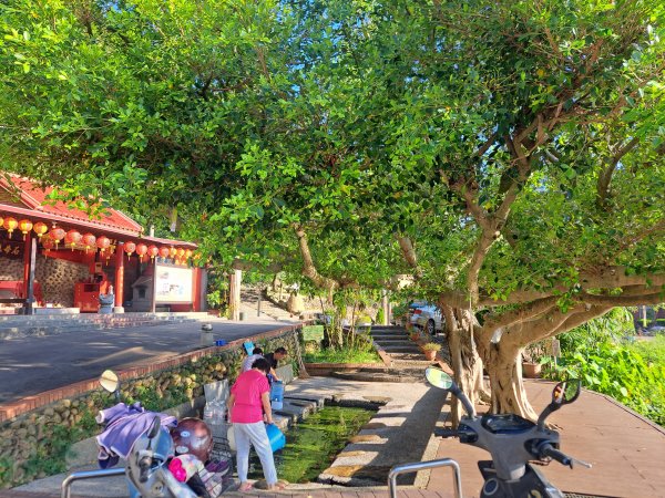 霄裡好風光2895734