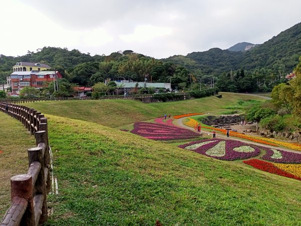 【臺北大縱走 4】【南山神壽任務尋寶趣】美拍花團錦簇的大溝溪溪畔步道1574061