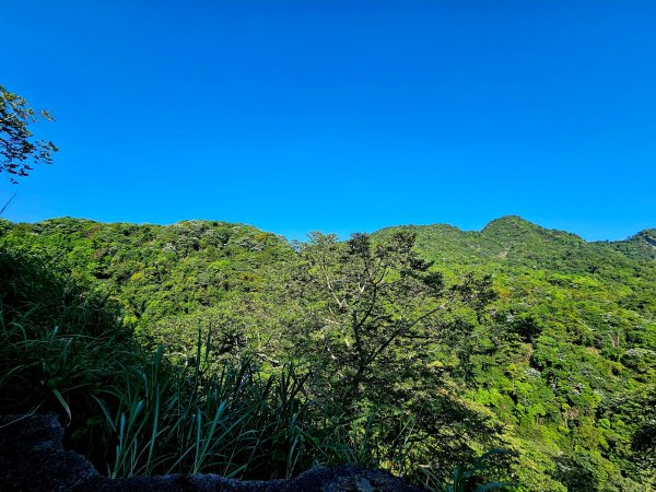 小百岳集起來-大橫屏山2185690